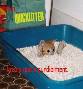 Nothing New Again >.<