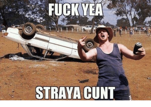 6221543_151099137281_STRAYA.png