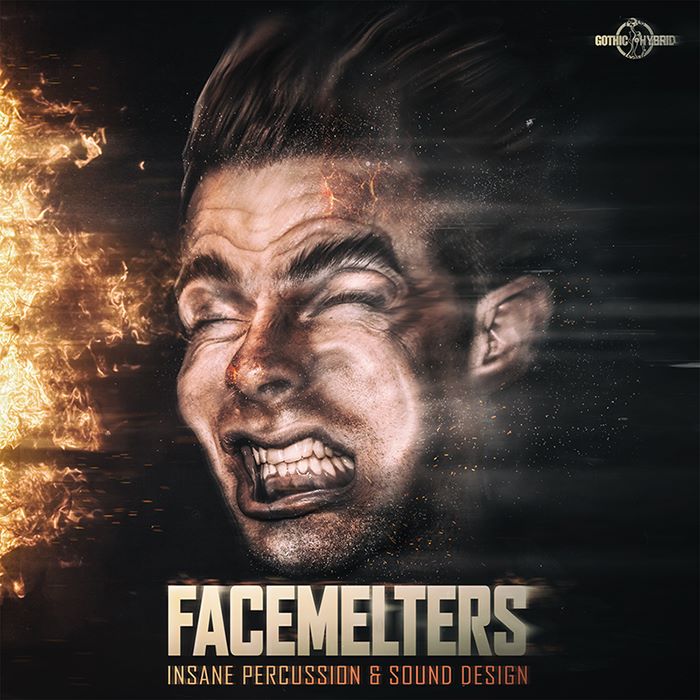 4904654_151559526843_FacemeltersAlbumCover.jpg