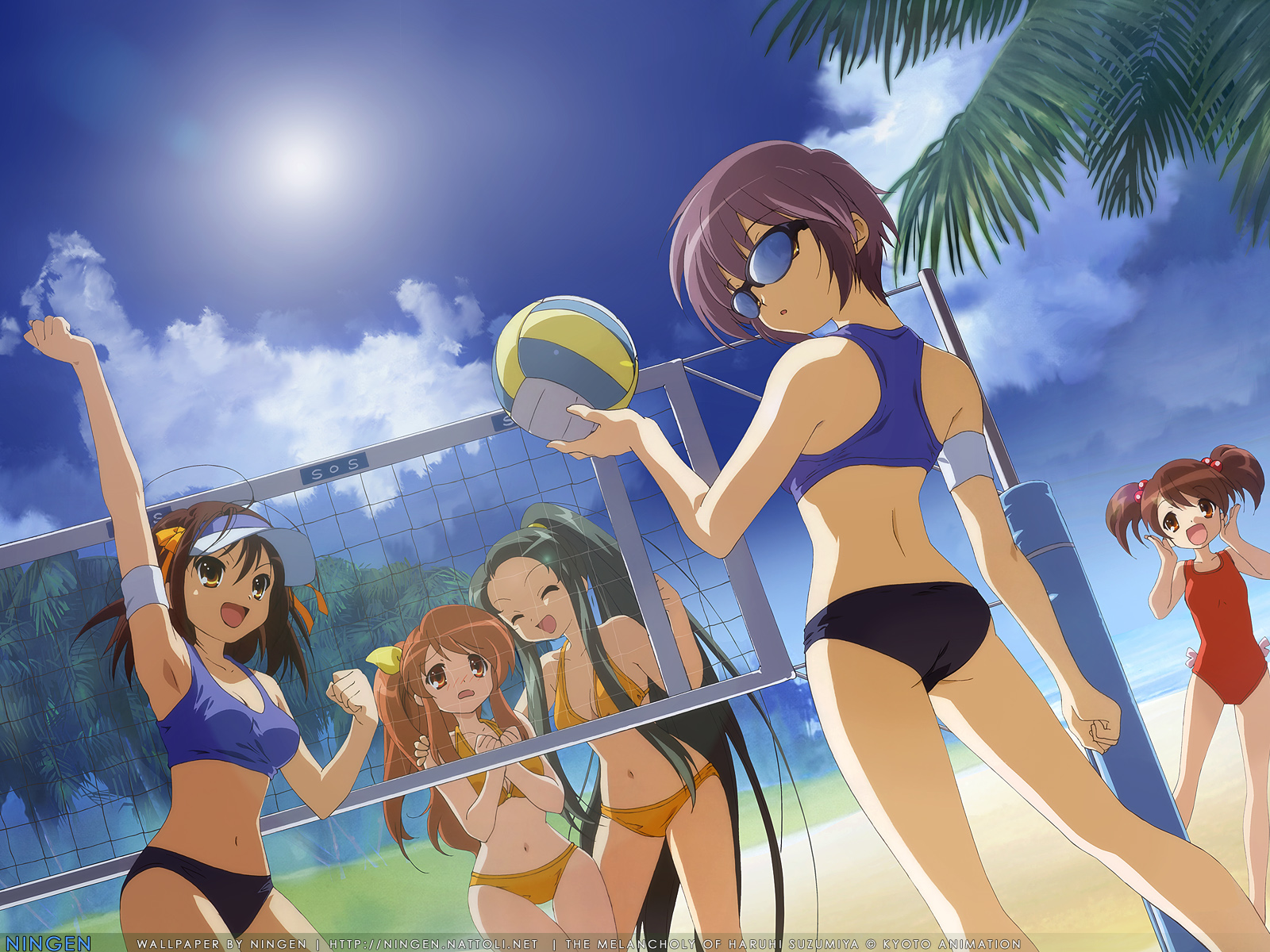 6360271_152367784462_Volleyball.jpg