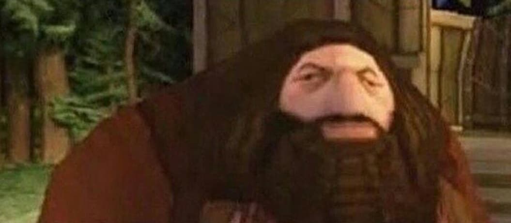 3578337_154008134691_hagrid.jpg