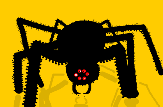 Spider