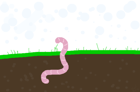 Worm