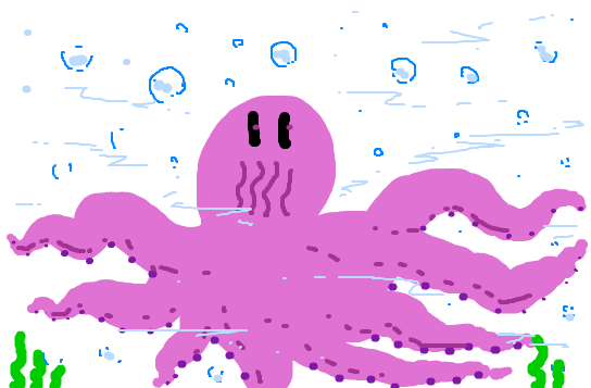 octopus