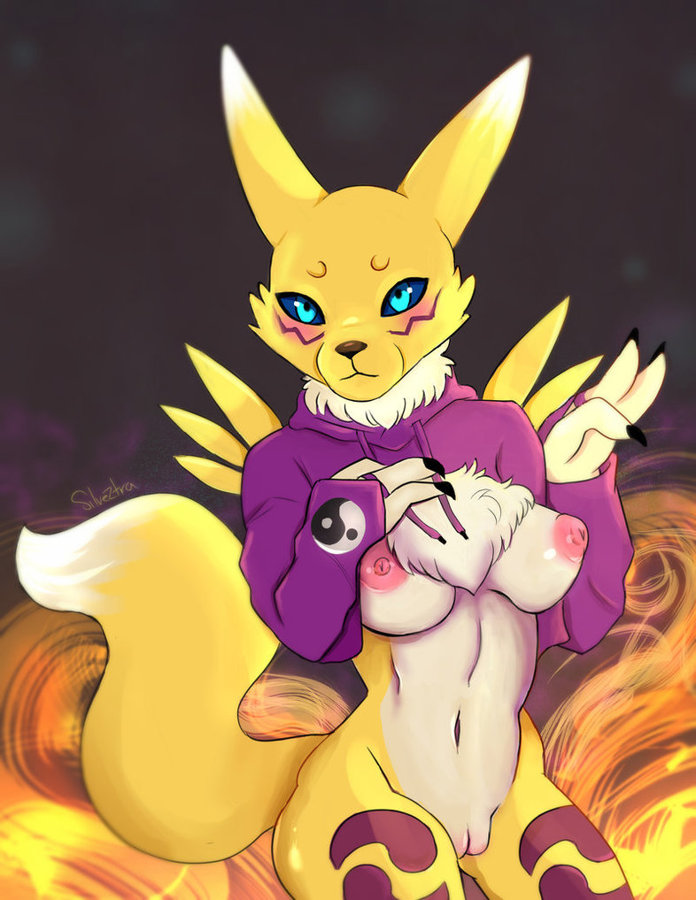 7144321_154467733272_silveztra_renamon-in-the-meme-sweater.jpg