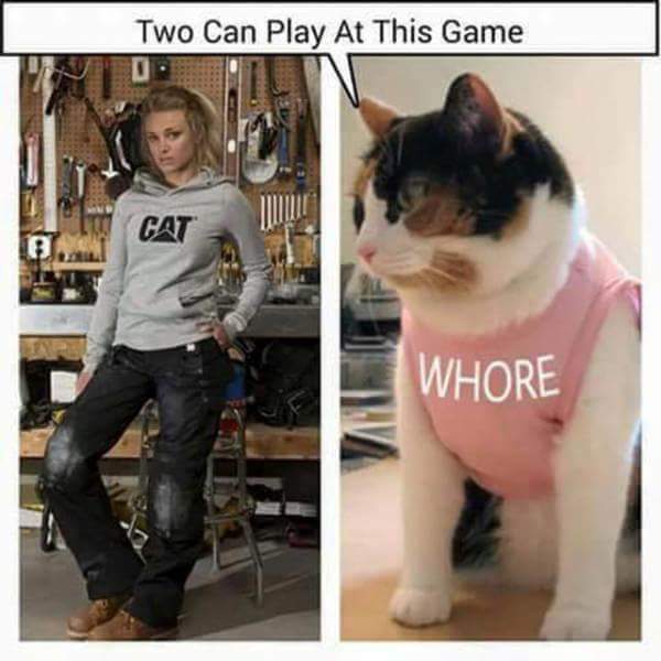 6959236_154533303773_Cat-whorepictuire.jpg