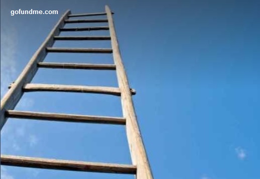 6959236_154541869991_ladder.jpg