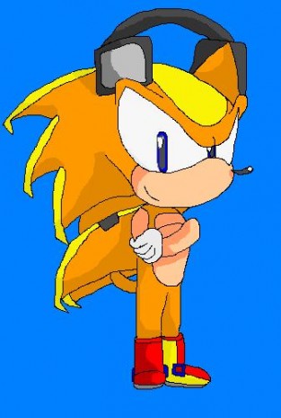 DJ the hedgehog