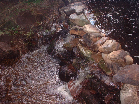 Streams