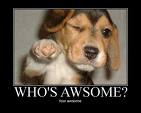 Who's Awesome?