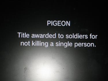 You now refer to the title of "Pidgeon"