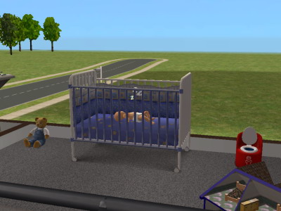 My sims had a baby!!!