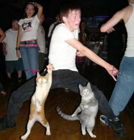 Dancing pussy!