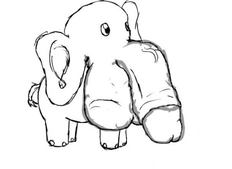 an elephant