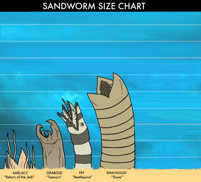 Sandworm Size Chart