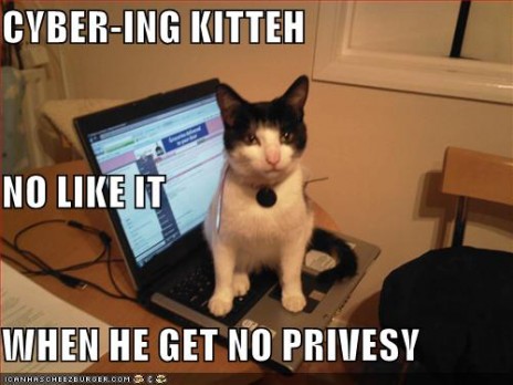 My new lolcat!