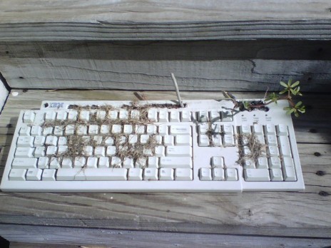 The Keyboard Garden is Dead.