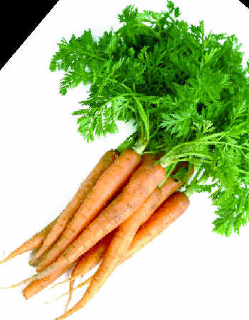 carrots