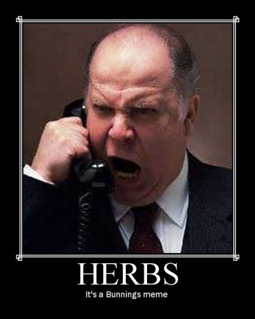 An informative blog about herbs.