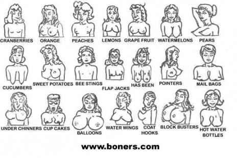 boob chart