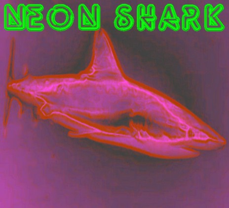 Neon Shark Project