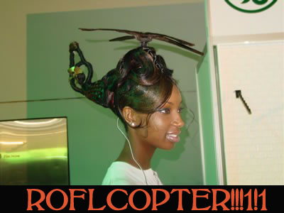 Roflcopter & LOLcopter