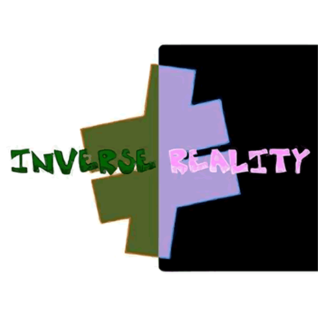 Inverse Reality