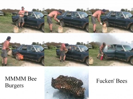 FUCKEN' BEES