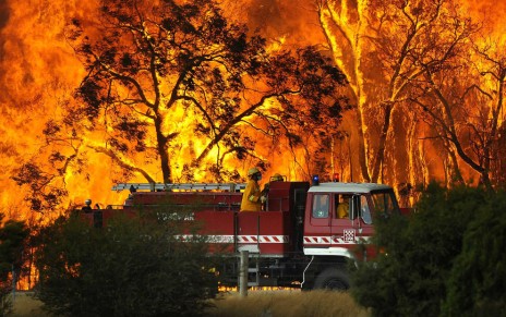 Victorian Bushfire Appeal