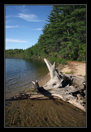 Camping In Maine