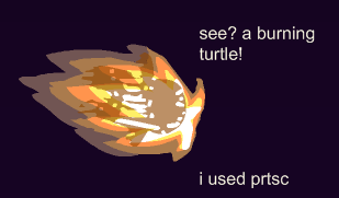 toss the turtle