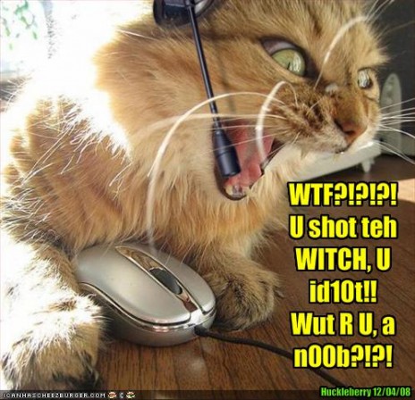 Meow, Meow, Just Snatch The Angry Cat From Google^.^