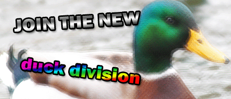 Join the Duck Division