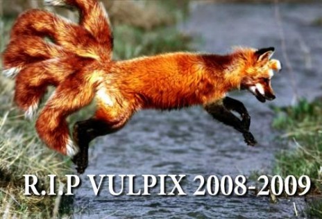 My Vulpix died.