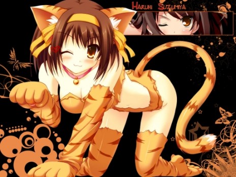 MORE END MORE neko