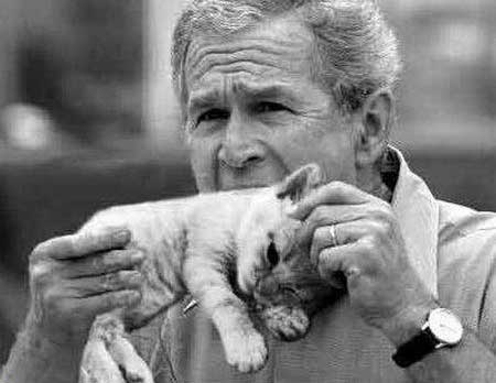 GEORGE BUSH EAT'S KITTENS!!!