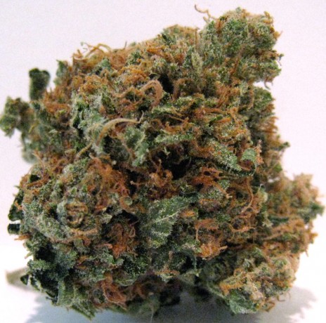 Marijuana Pic of tha Day