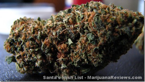 Marijuana Pic of tha Day