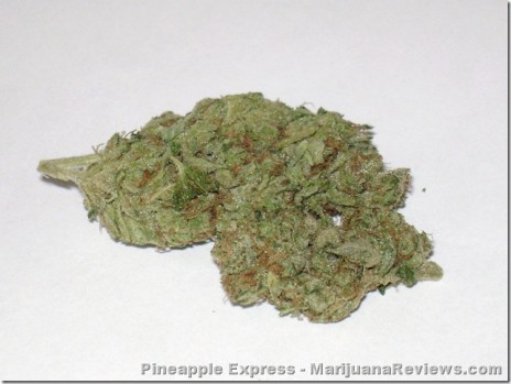 Marijuana Pic of tha Day