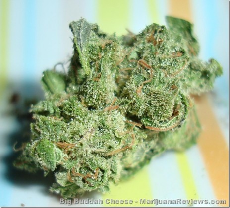 Marijuana Pic of tha Day