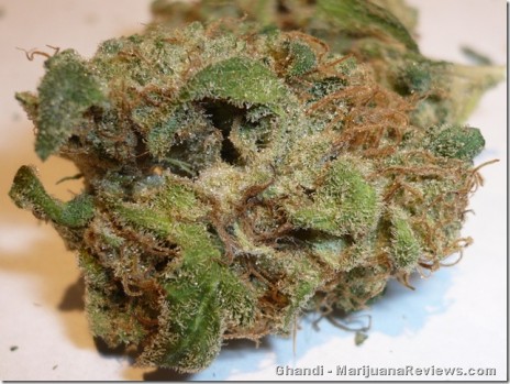 Marijuana Pic of tha Day