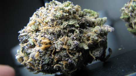 Marijuana Pic of tha Day