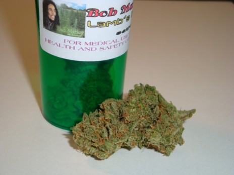 Marijuana Pic of tha Day