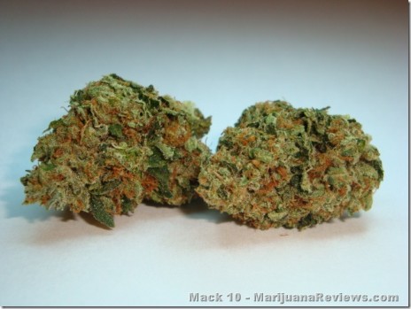 Marijuana Pic of tha Day