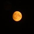 orange moon