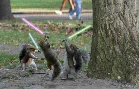 squirrel legion update