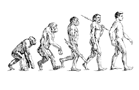 My Opinion on Biological Evolution