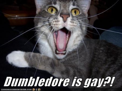 DUMBLEDORE IS GAY?!