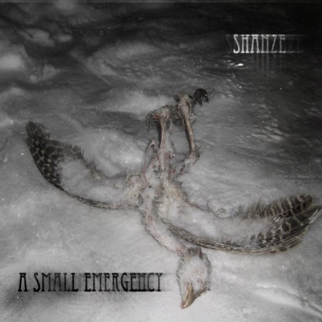 A SMALL EMERGENCY EP, OUT NOW