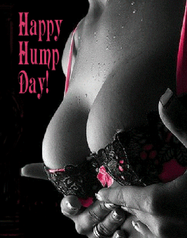 HUMP DAY!!!!!